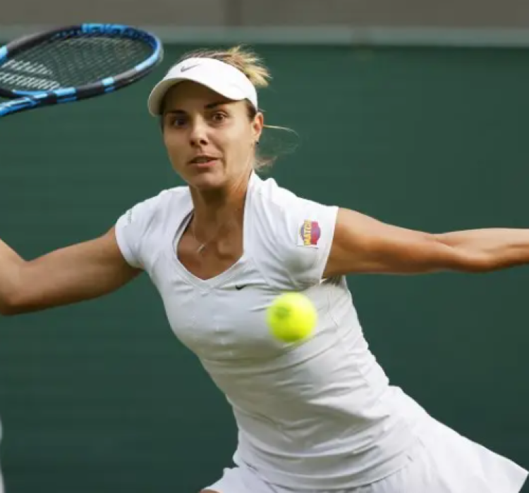 Томова bet365 Томова bet365